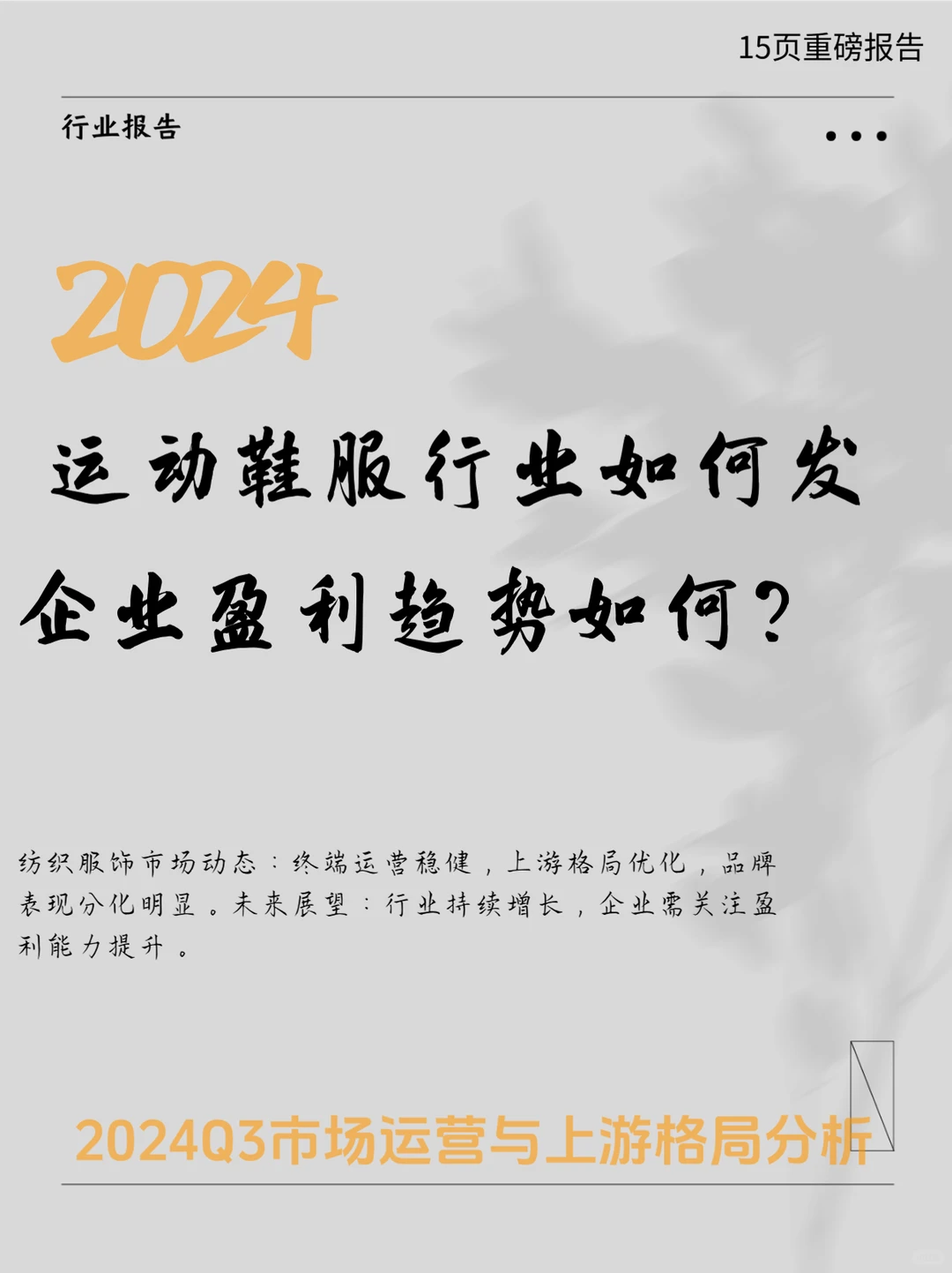 2024中国纺织服饰行业运动鞋服发展报告