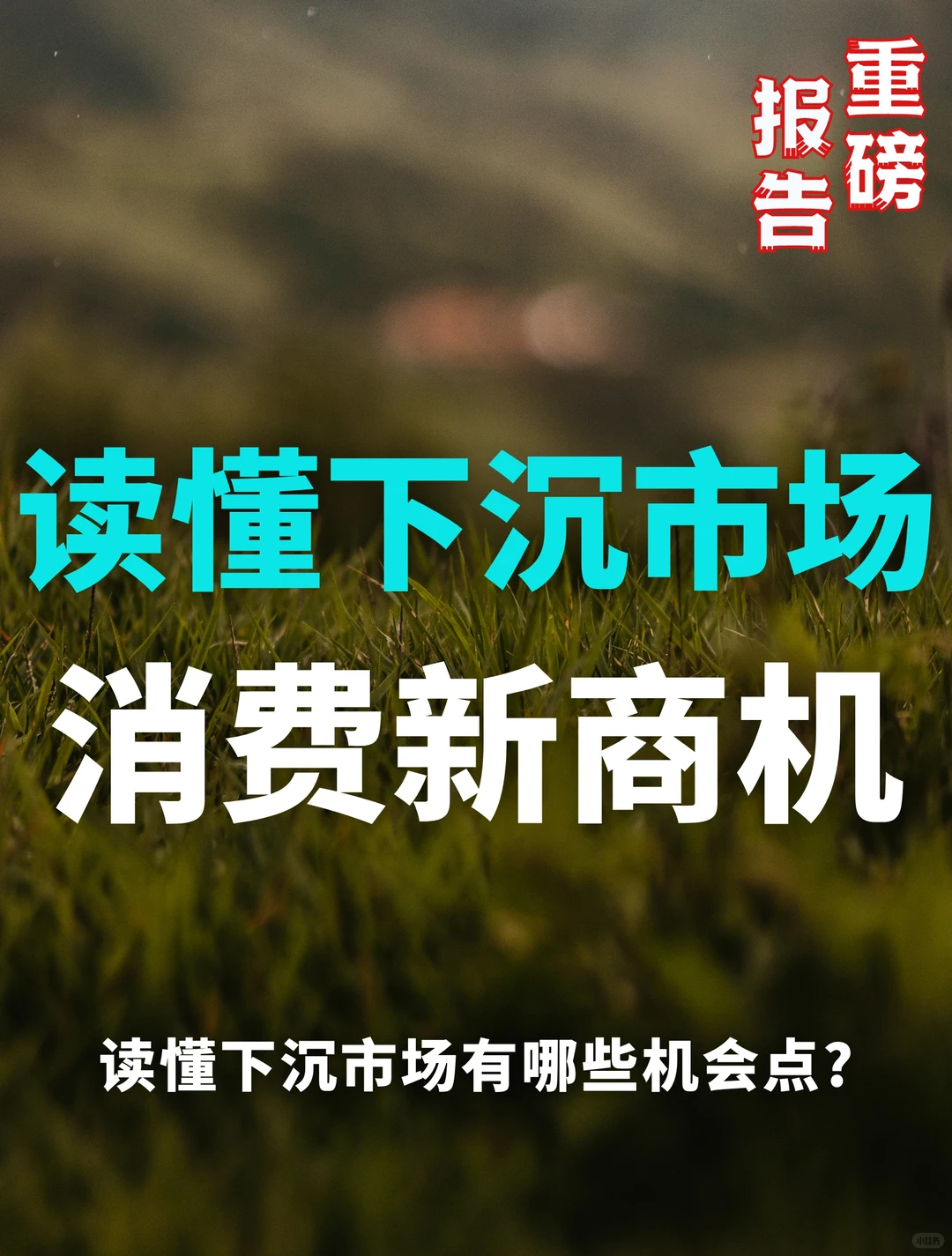 86页报告 | 读懂下沉市场消费新商机