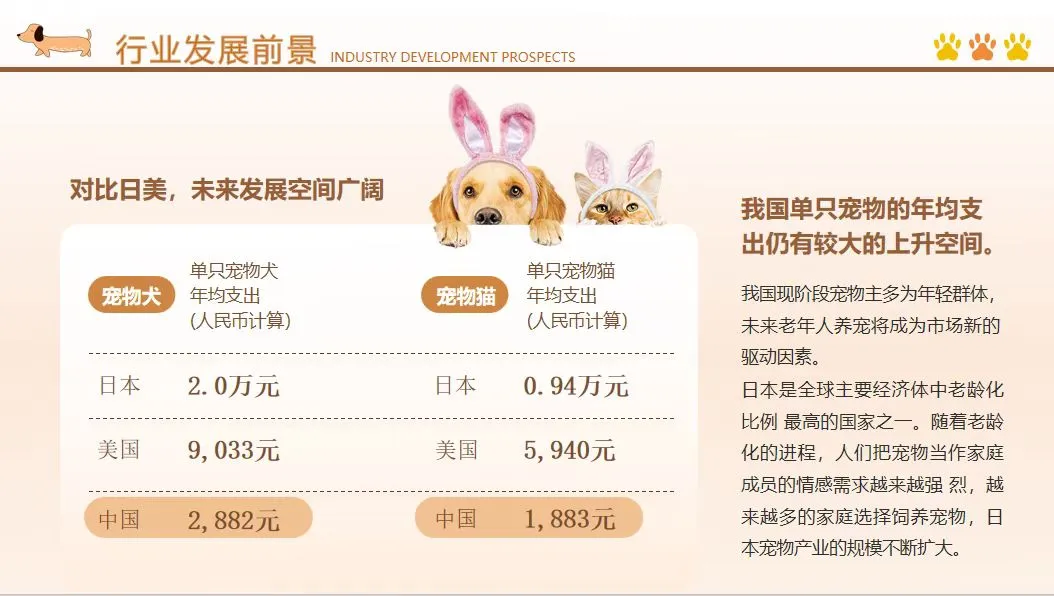 宠物行业创业项目PPT分享~