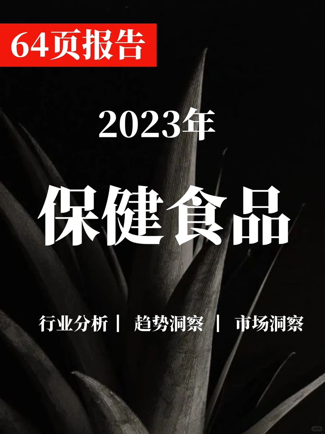 一文读懂2023年中国保健食品行业洞察