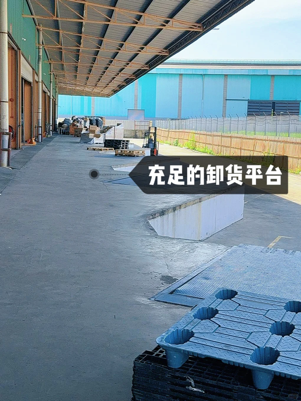 ?下一个宠物经济蓝海在东南亚!