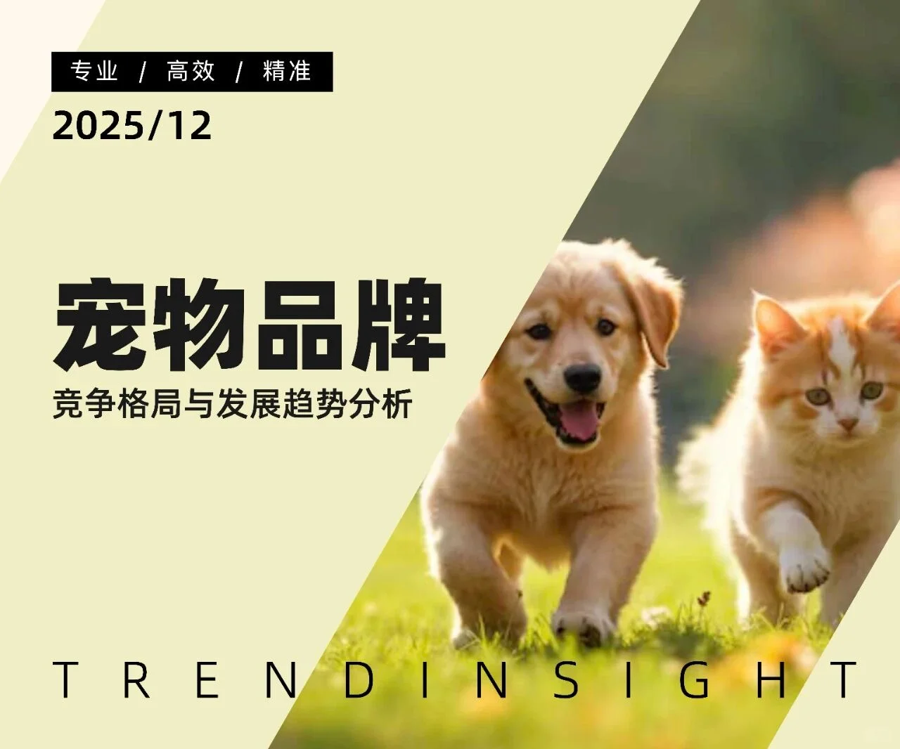 2025宠物品牌竞争格局与发展趋势分析