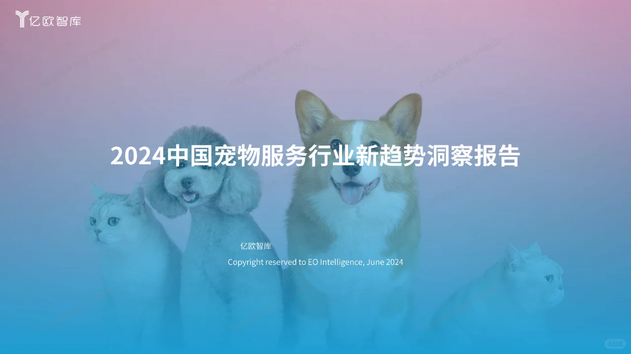 宠物服务行业新趋势：洞察宠物经济的未来