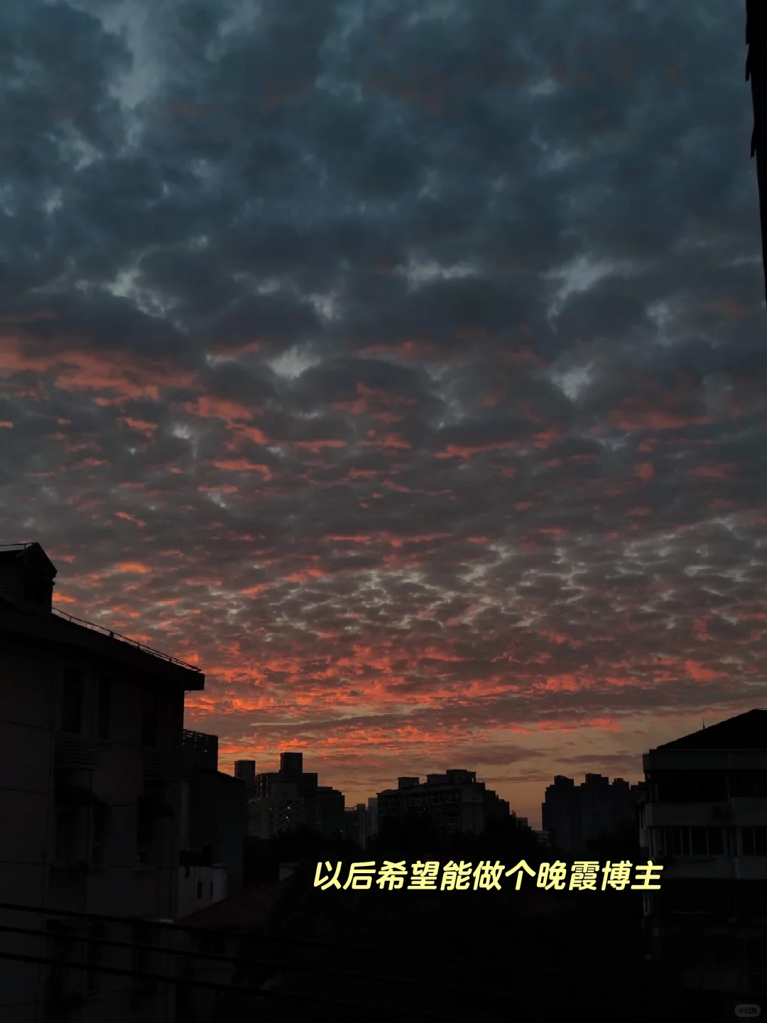 日常｜哥们儿，你是一个战略咨询男