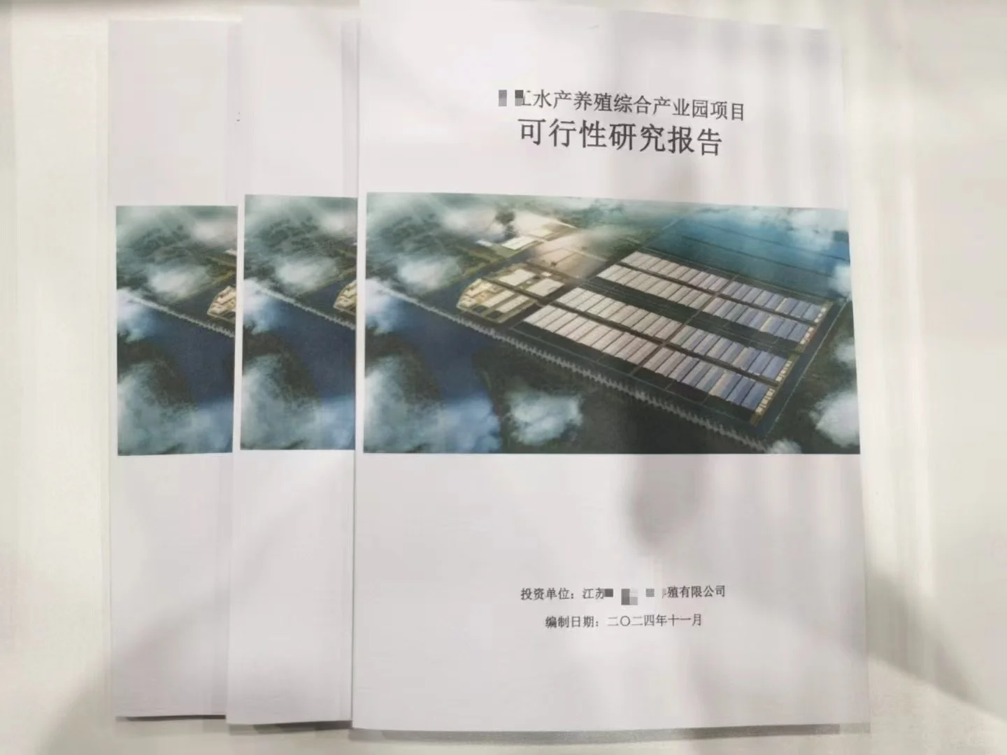 全行业可研报告代写｜立项融资拿地一次过！