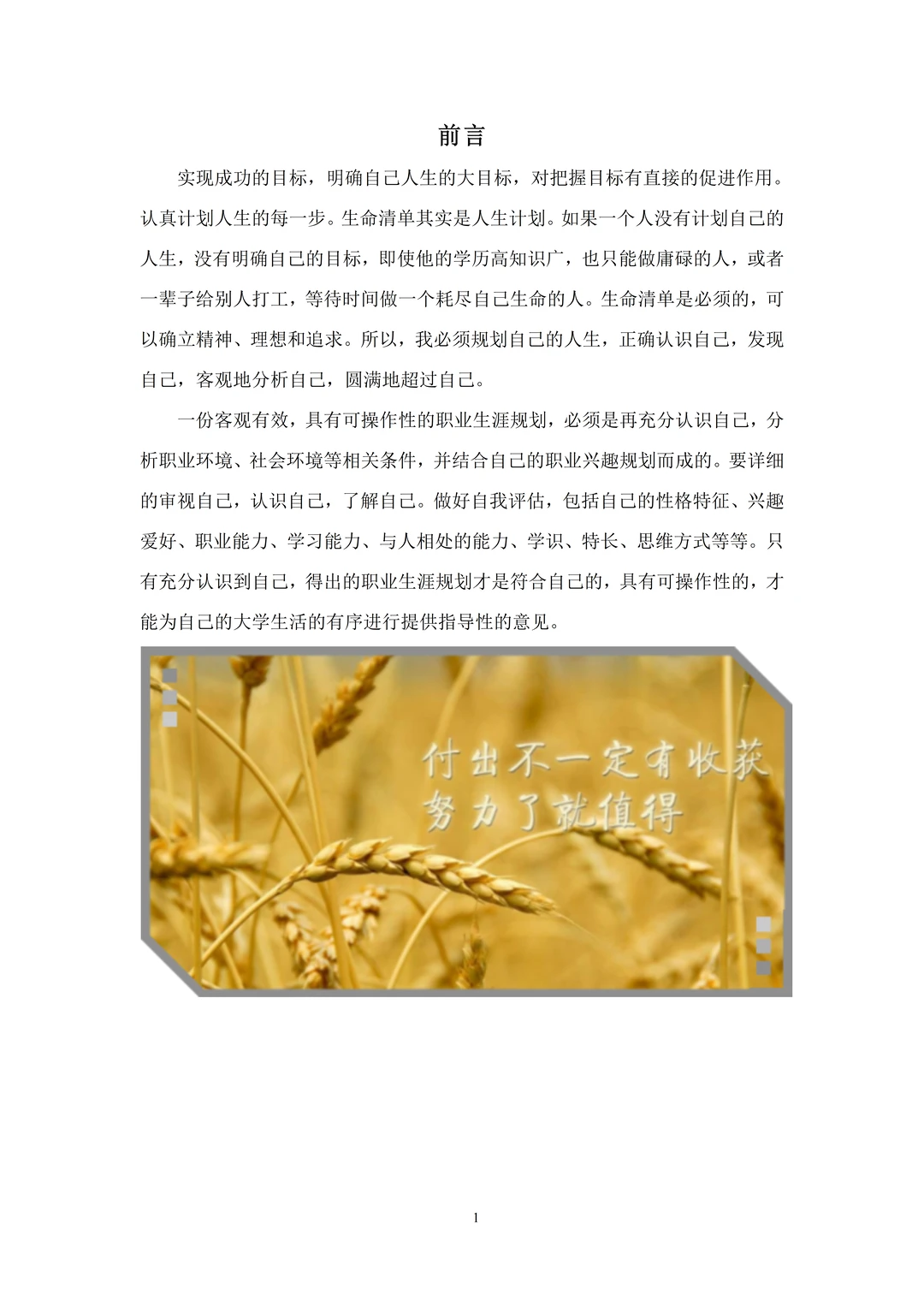 一份精品的大学生职业生涯规划书,直接抄❗