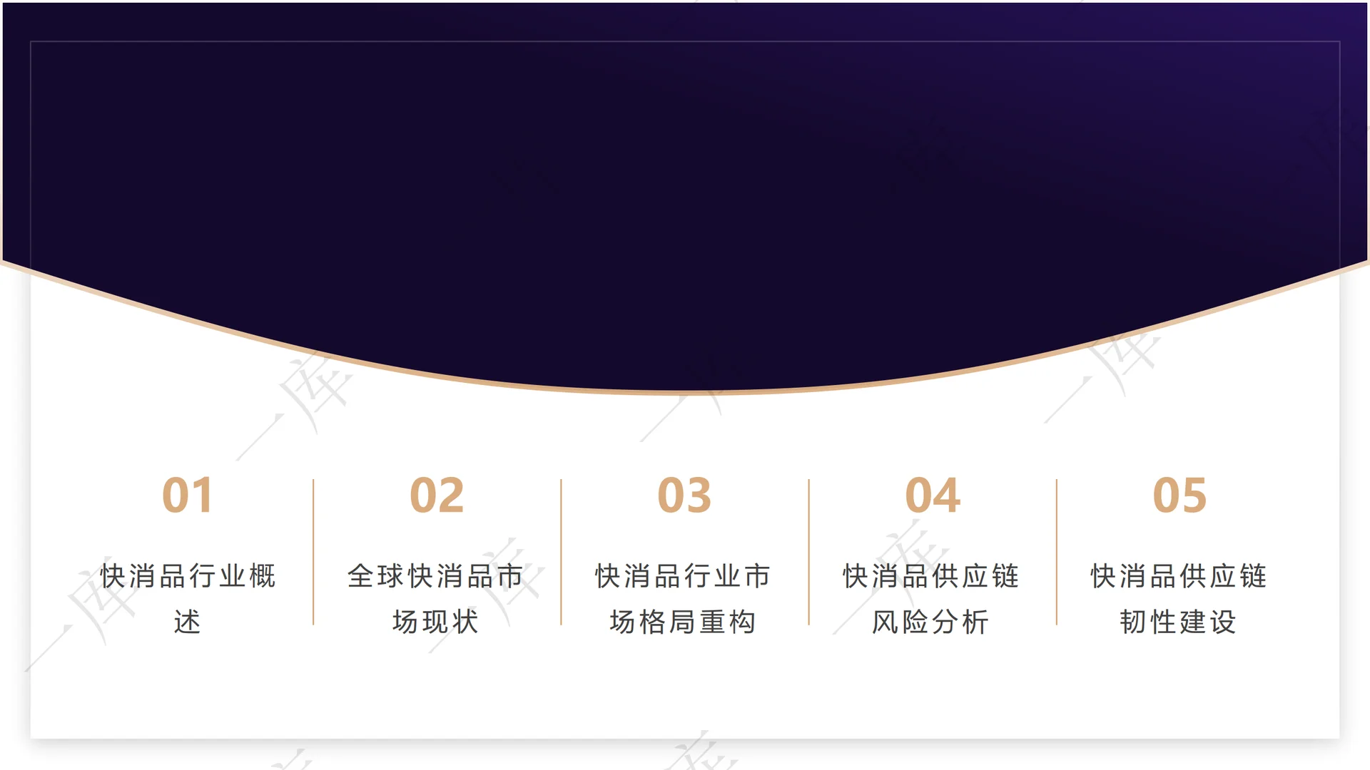 2025-2030全球快消品市场