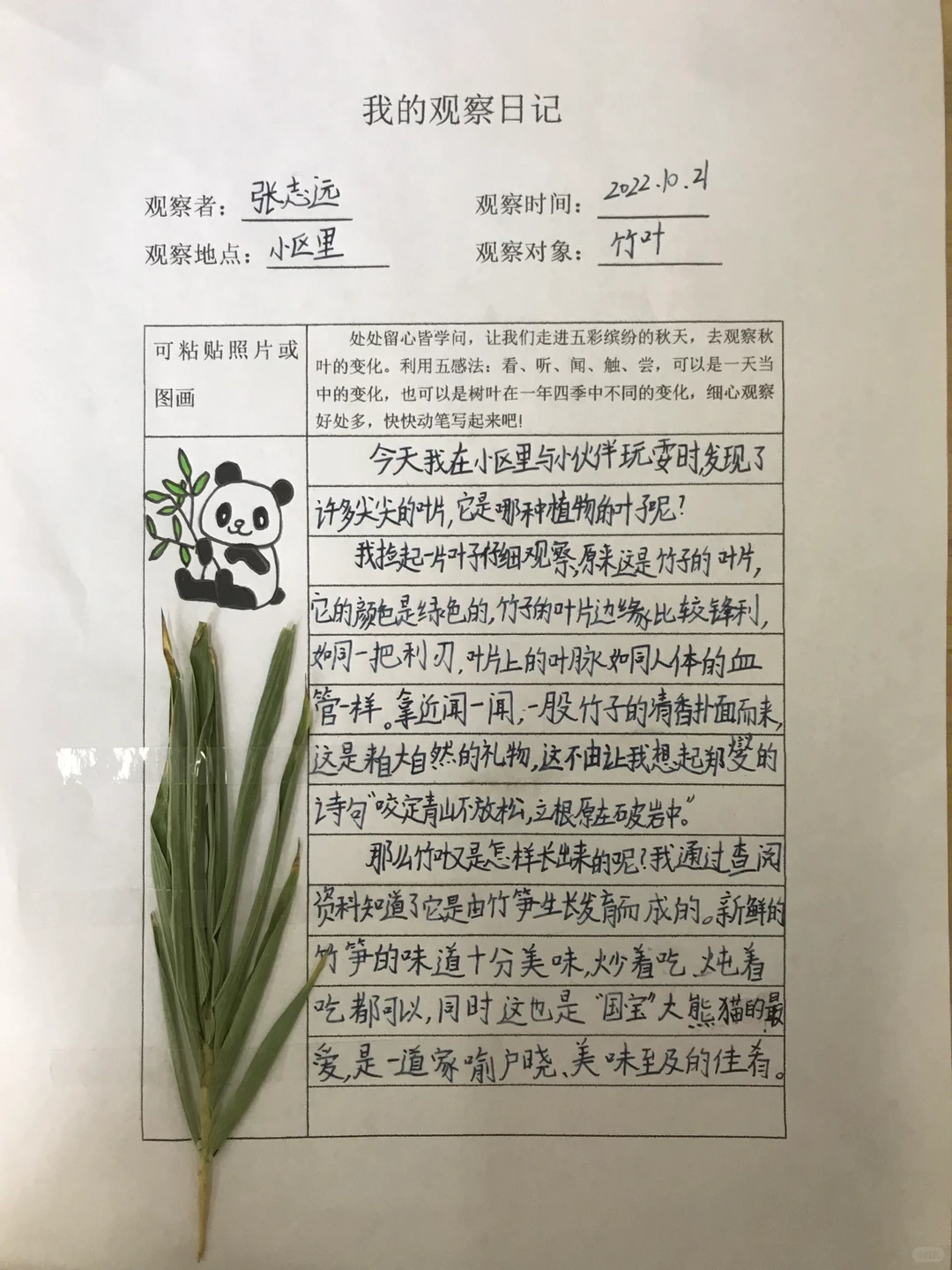 三上《观察记录表》