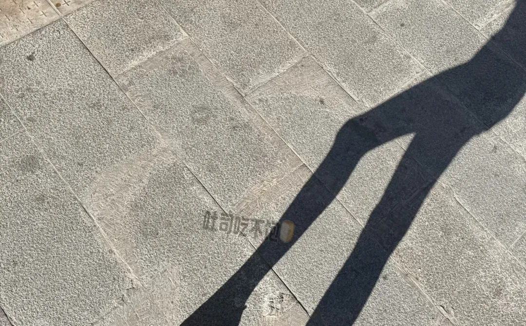如影随形☀️