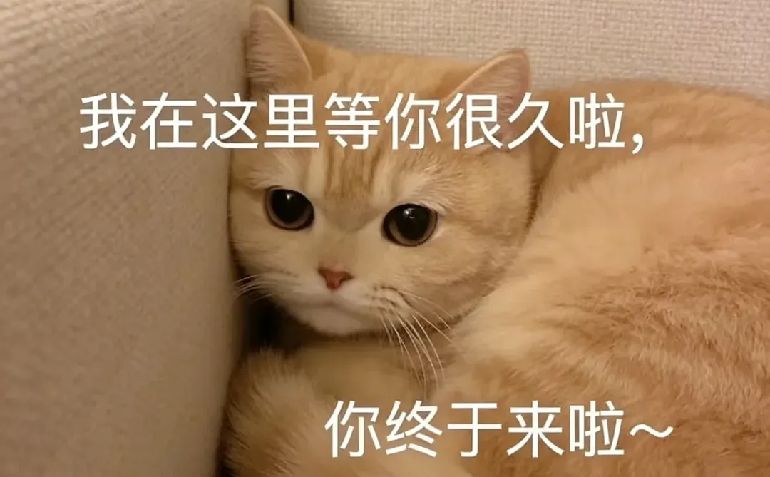 为什么说超级个体的尽头是系统