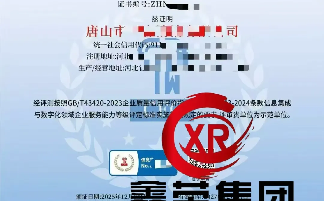 系统集成与数字化示范单位