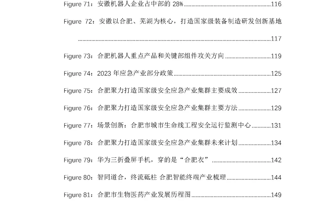 258页报告！合肥十大战略新兴产业全景洞察