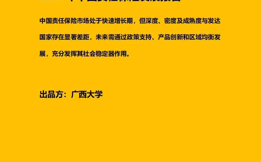 2024年中国责任保险发展报告 附原文文档