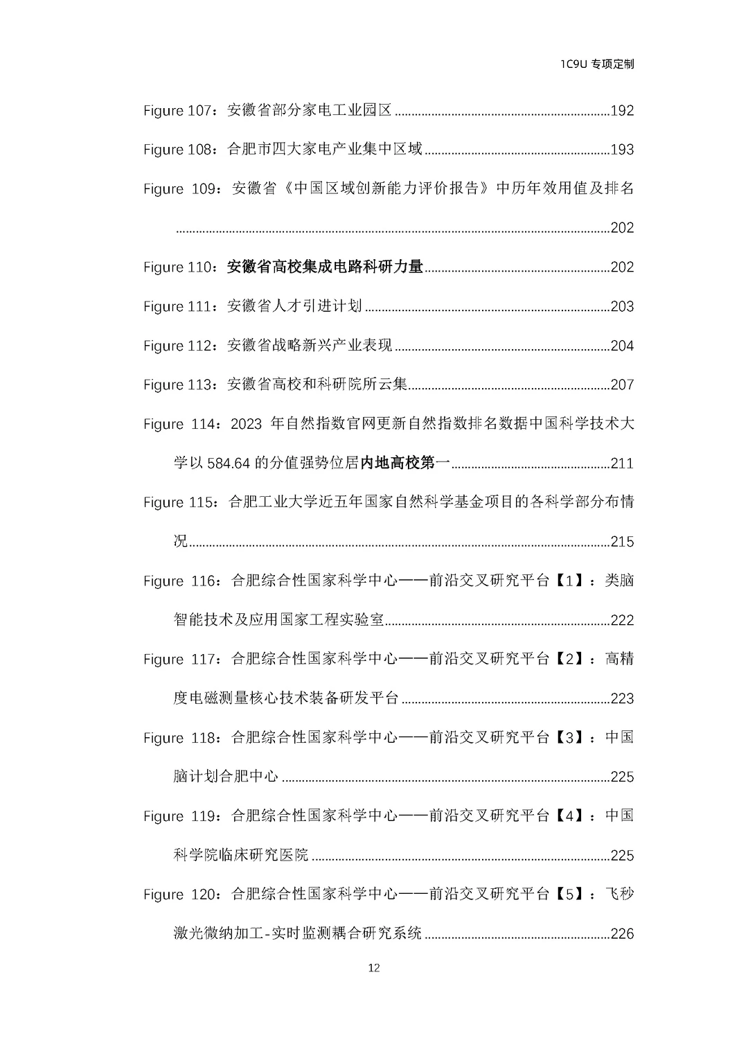 258页报告！合肥十大战略新兴产业全景洞察