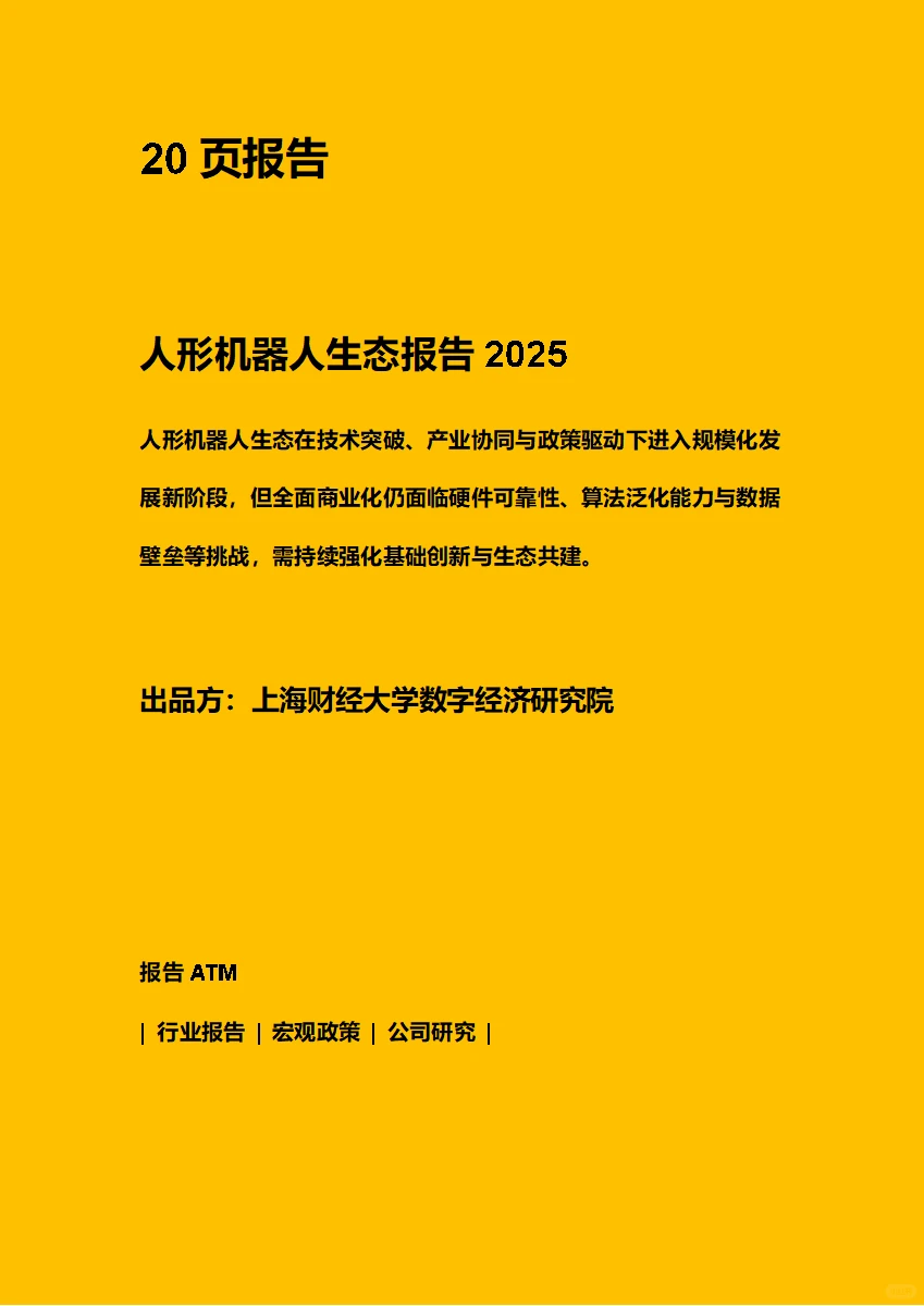 人形机器人生态报告2025 附原文文档