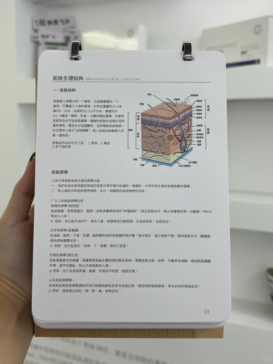 美容师必须人手一本，这些面诊知识一定要会