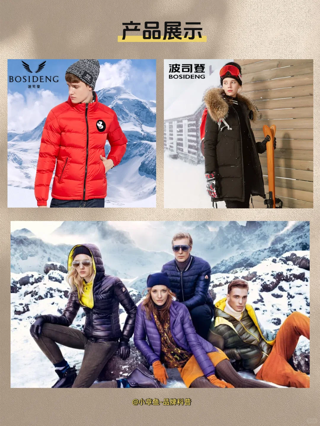 每天认识一个品牌 | 波司登