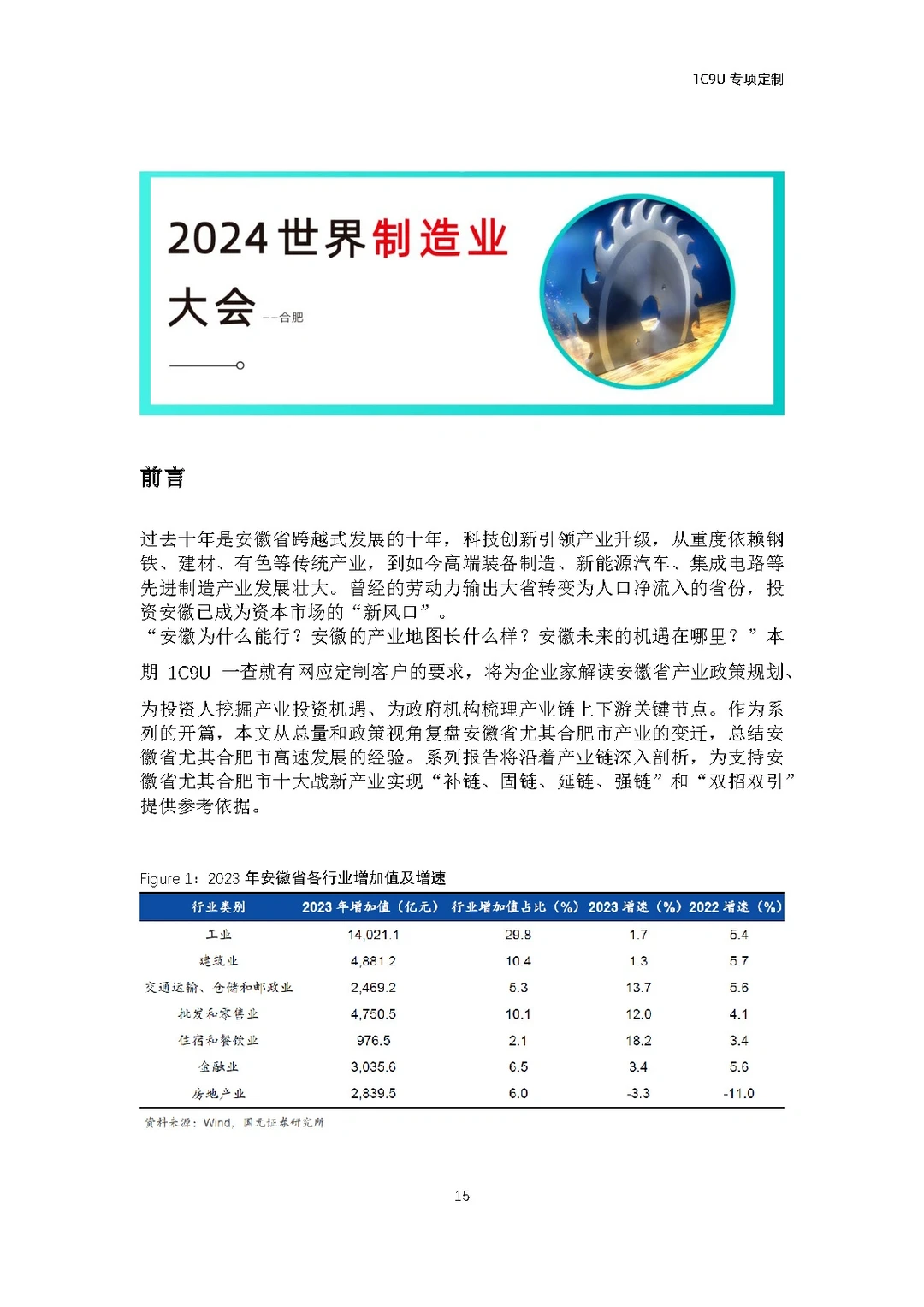 258页报告！合肥十大战略新兴产业全景洞察