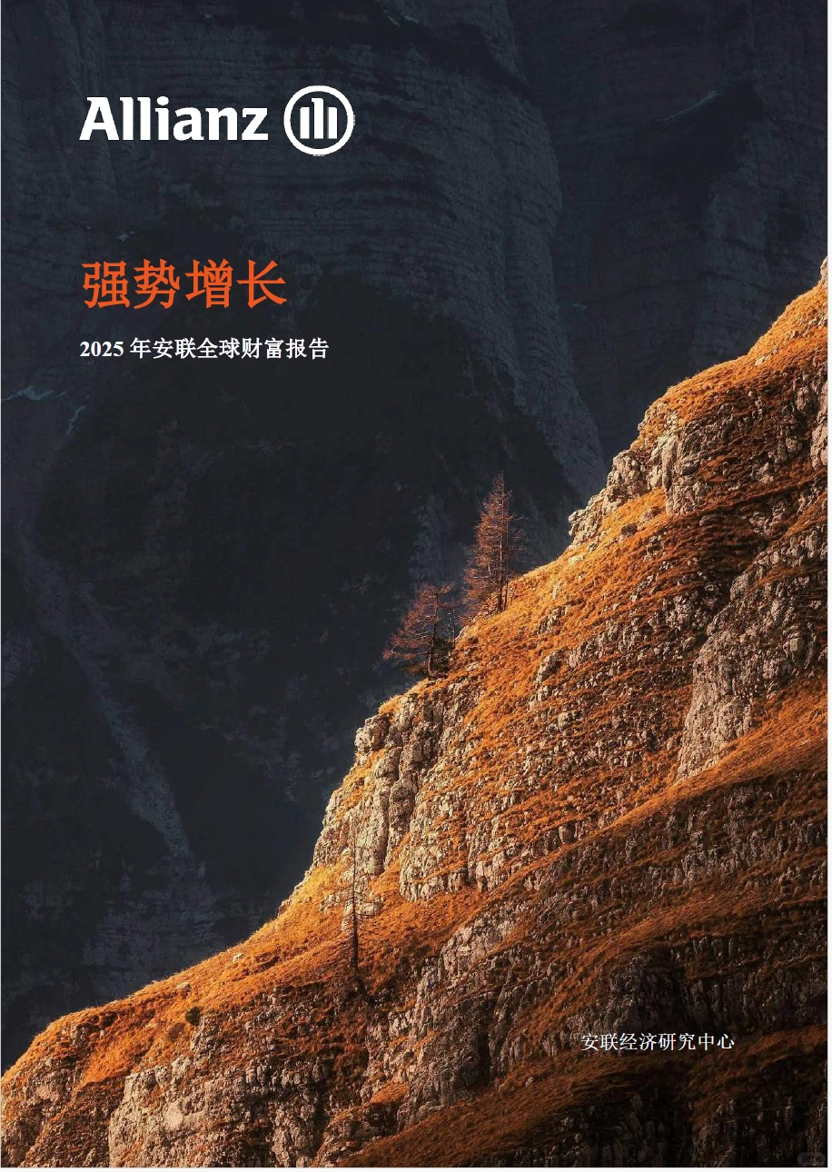 全球财富报告 附原文文件