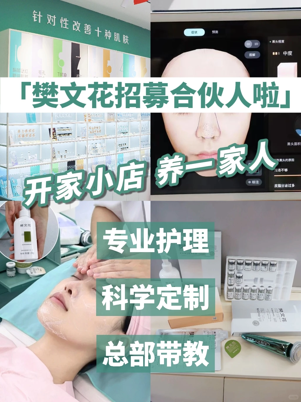 樊文花招募合伙人啦?