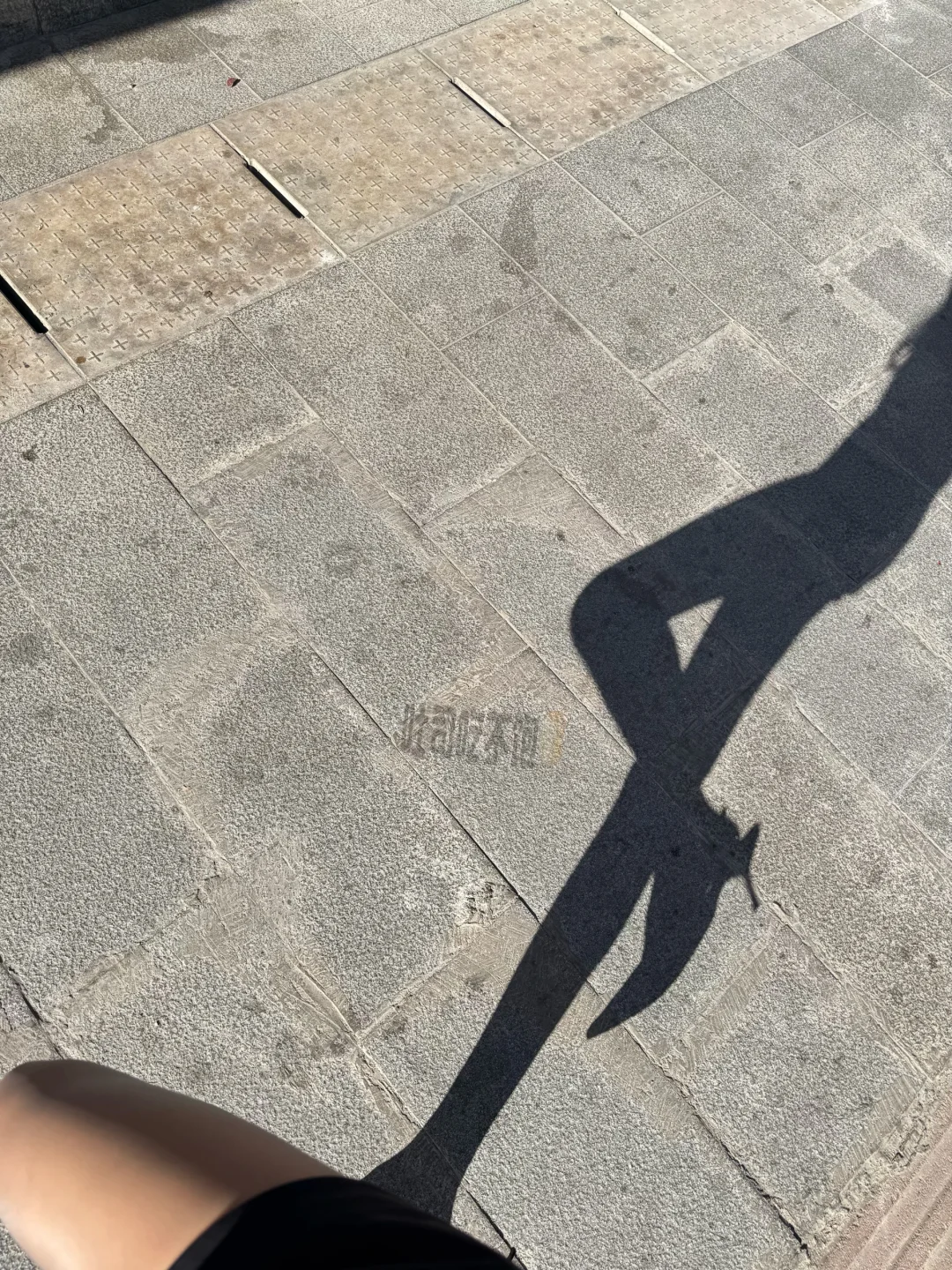 如影随形☀️