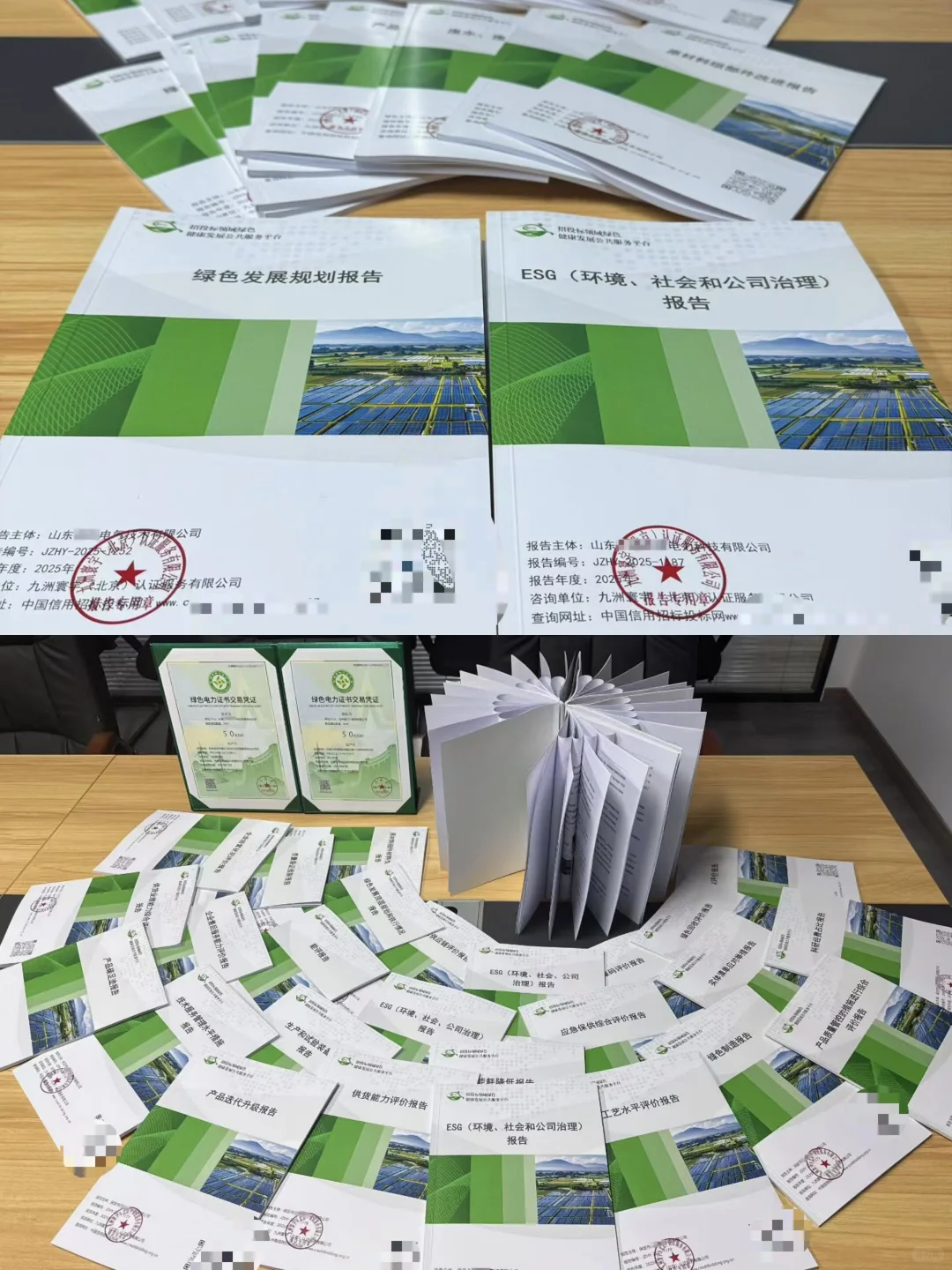 esg环境社会公司治理绿色规划评价报告绿电