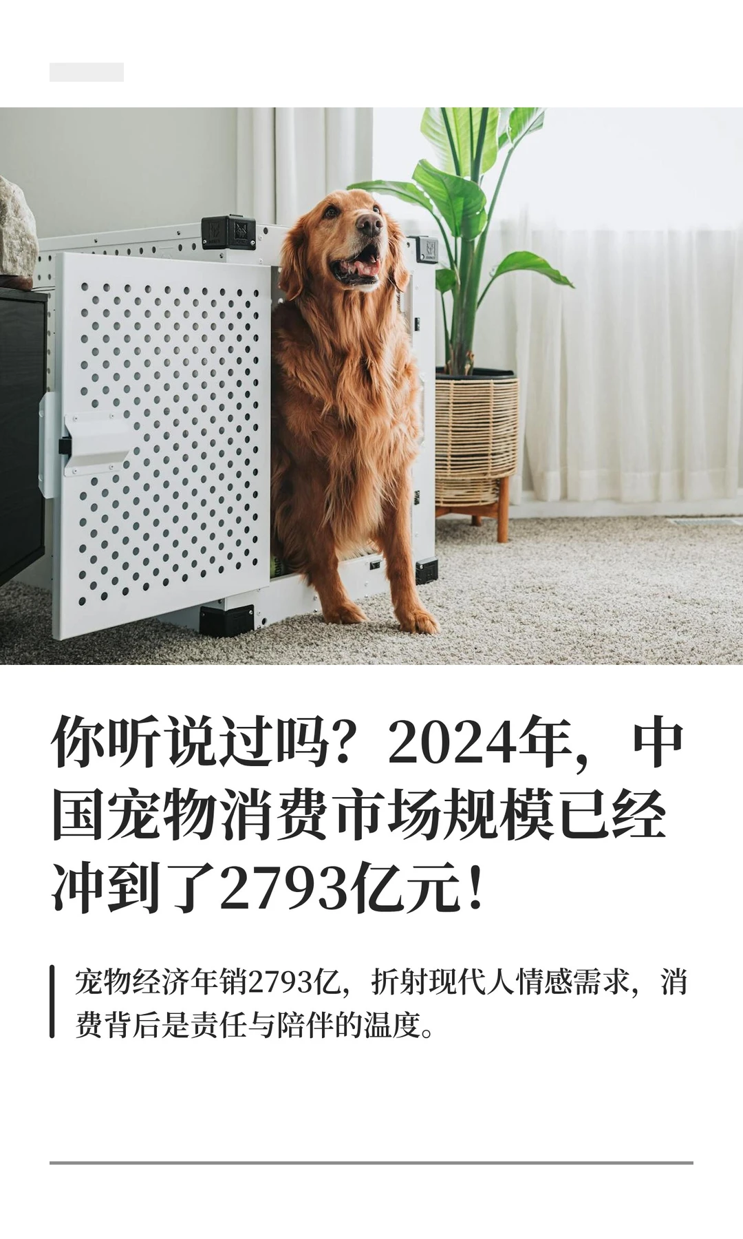 你听说过吗？2024年，中国宠物消费市场规模