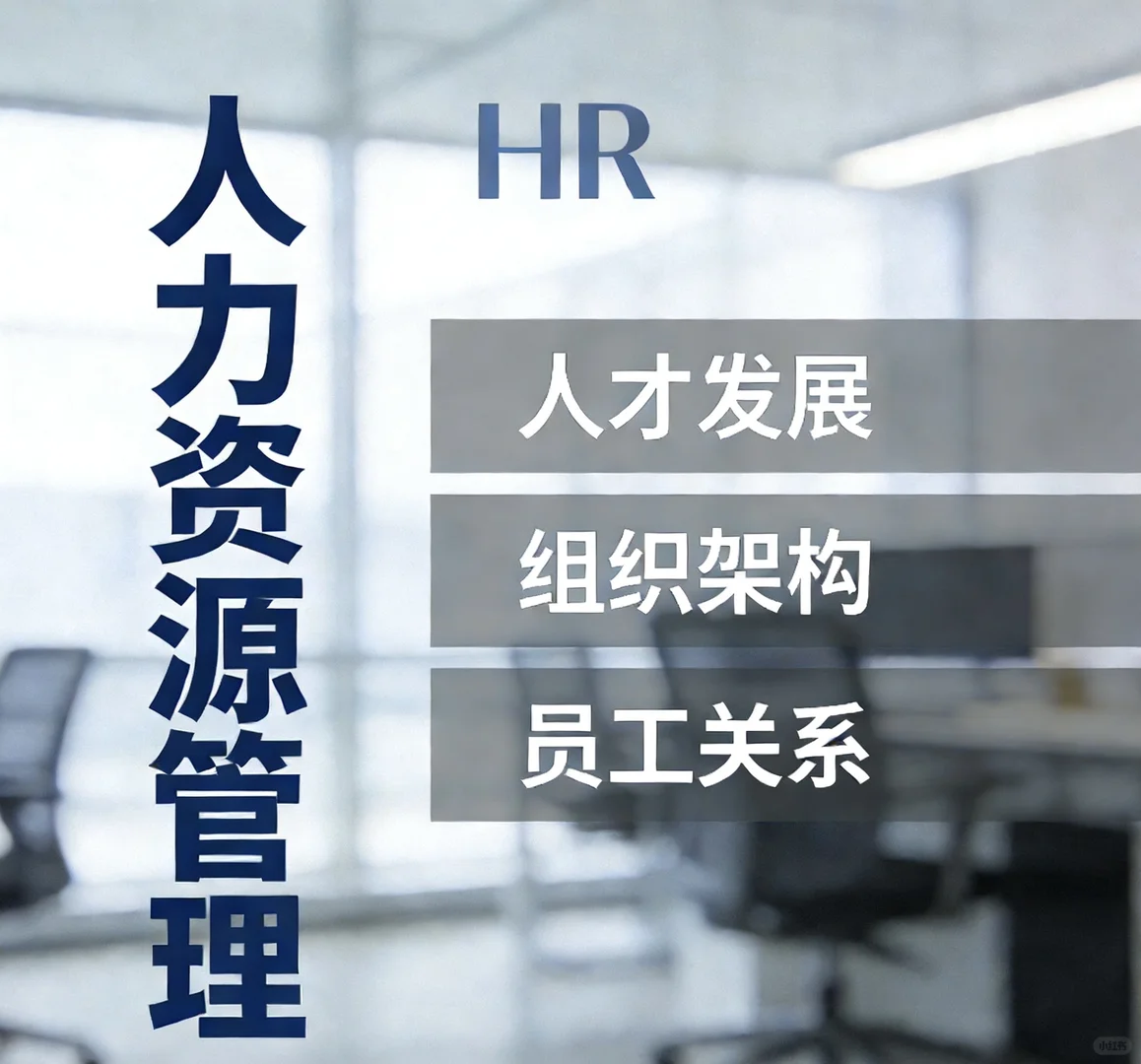 人力资源管理：从招聘到绩效的价值闭环