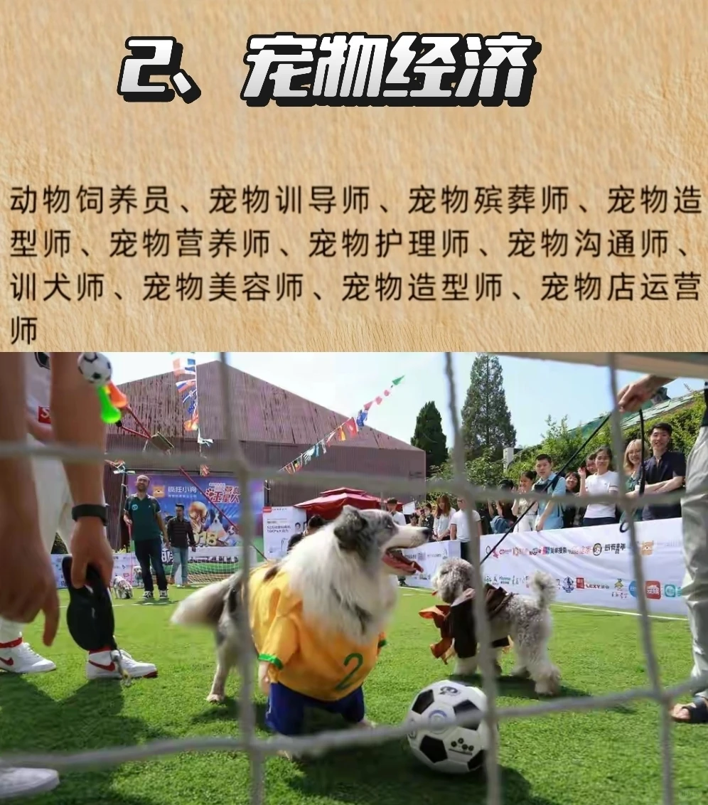 未来十年，非常吃香的五个行业推荐给你！