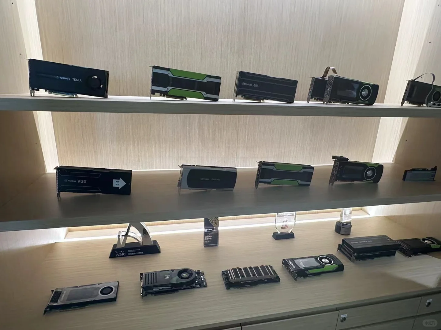 纵深中国项目调研英伟达