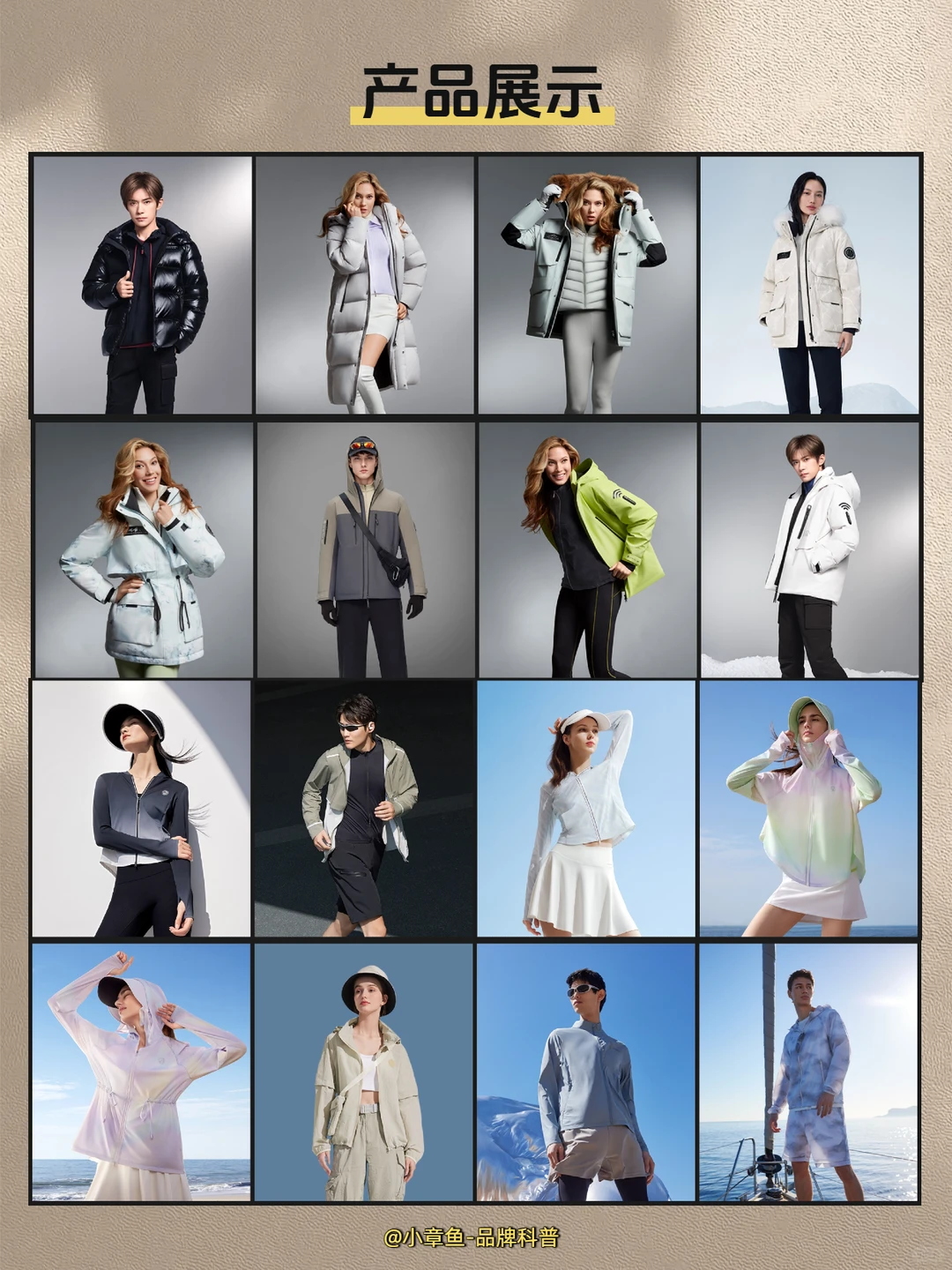 每天认识一个品牌 | 波司登