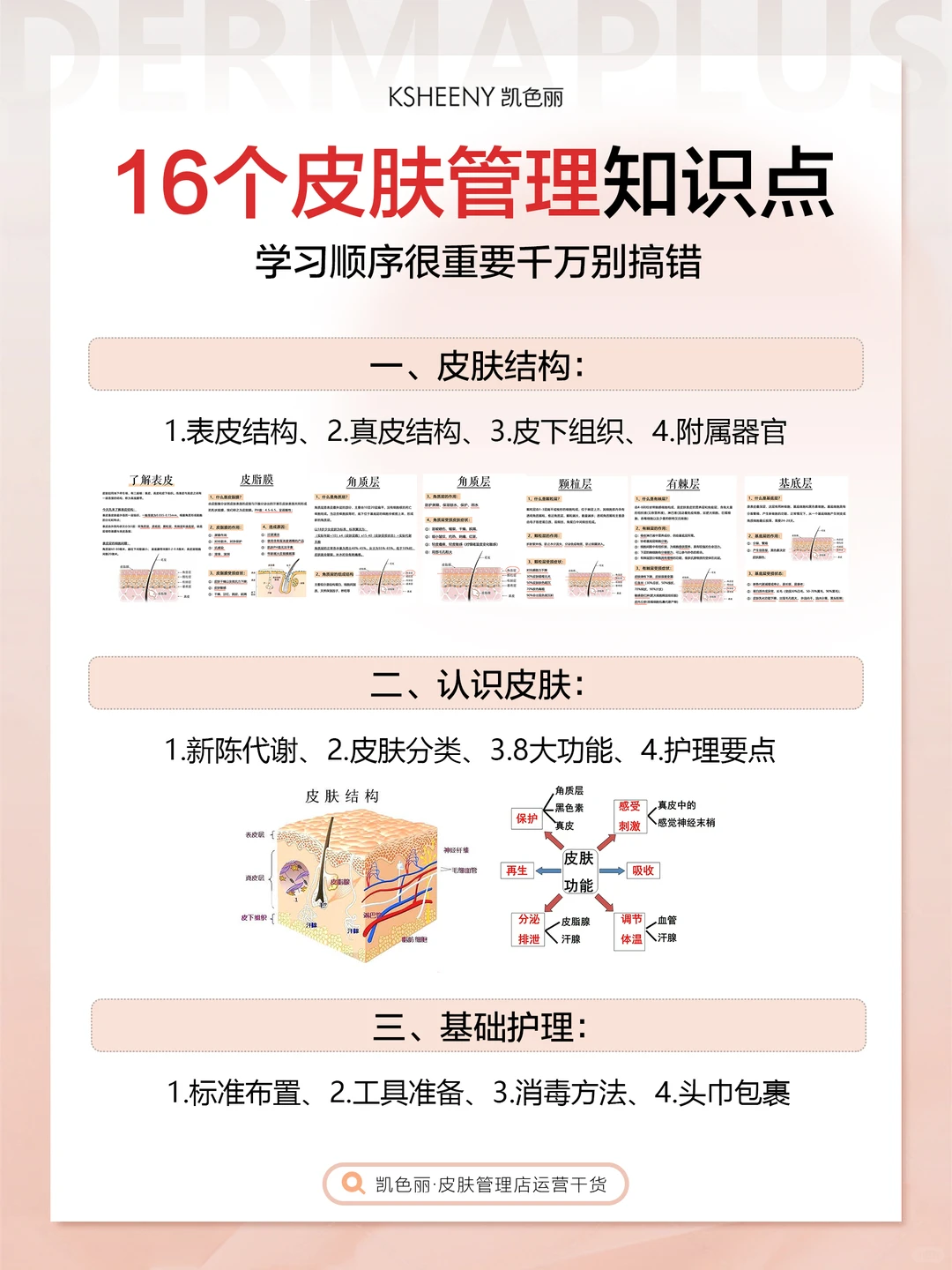 皮肤管理培训|如何逼自己30天成皮肤管理师