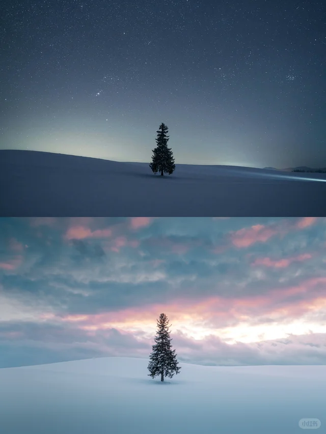 一年一度，圣诞快乐?