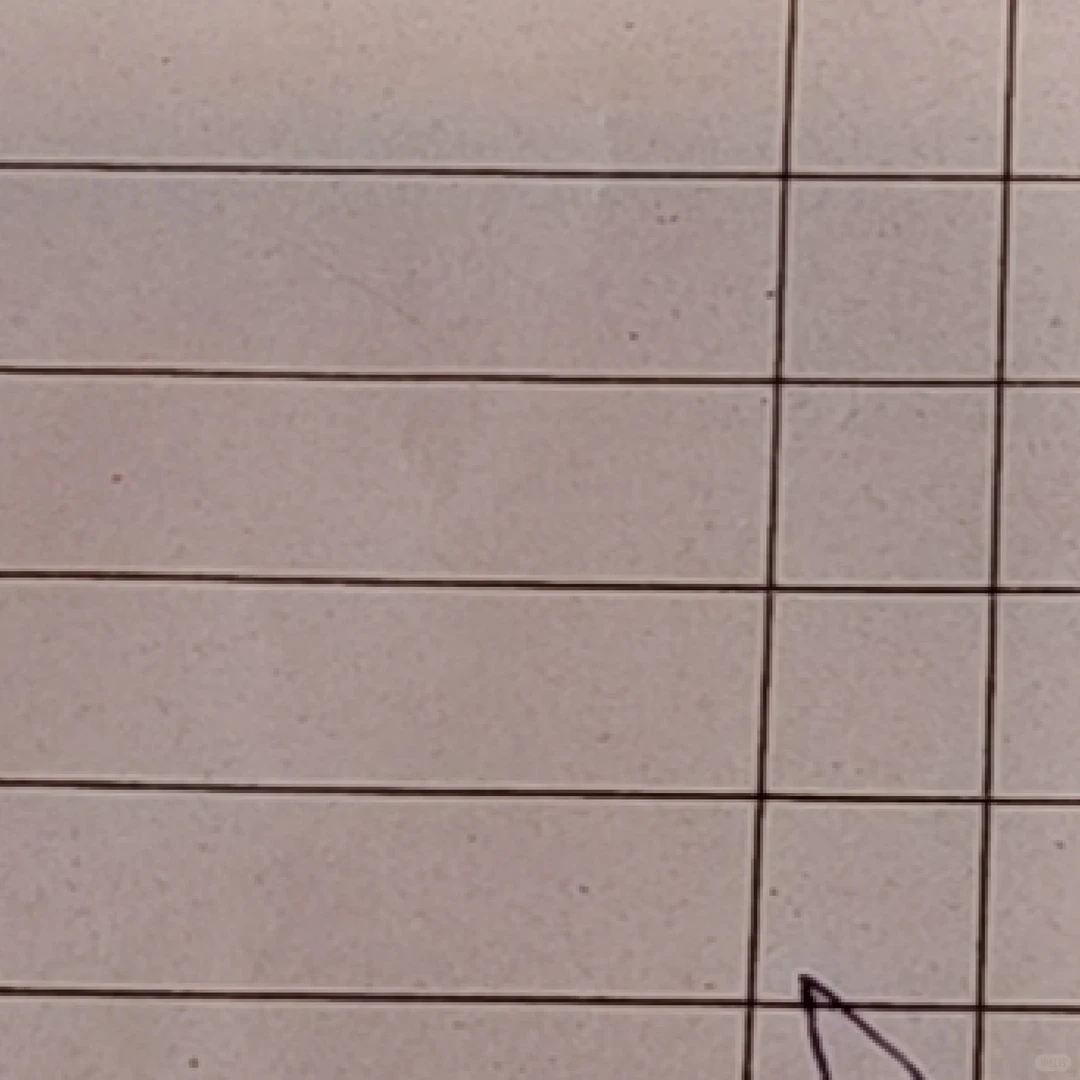 心中有党成绩理想 下一站请上岸 我们一起上岸吧 人民有信仰国家有力量 早日上岸