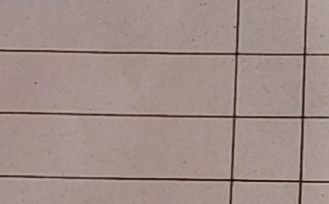 心中有党成绩理想 下一站请上岸 我们一起上岸吧 人民有信仰国家有力量 早日上岸