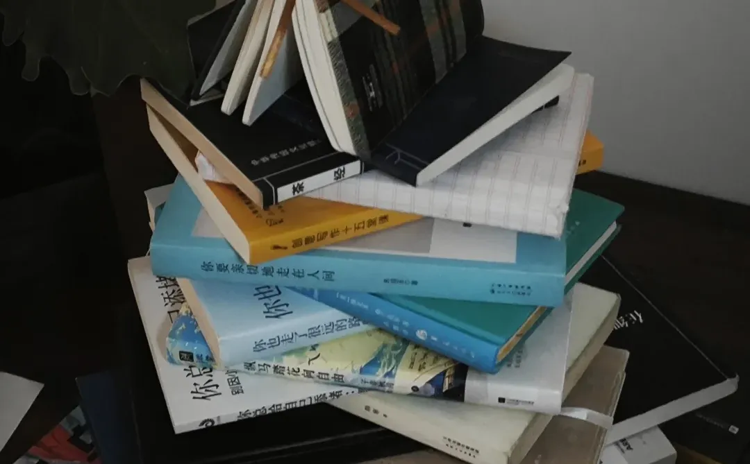 圣诞书?幸好还有书籍 想看大家的圣诞树