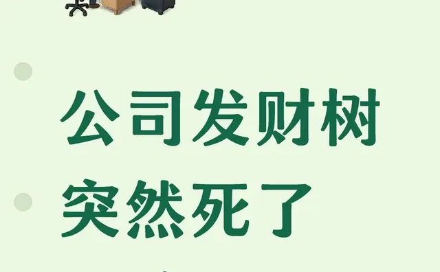 公司发财树突然死了 要辞职吗牛马 发财树 职场 找工作年底