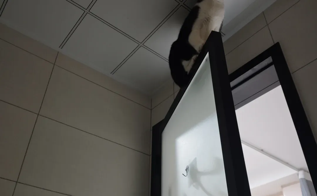 谢谢你我的孩子