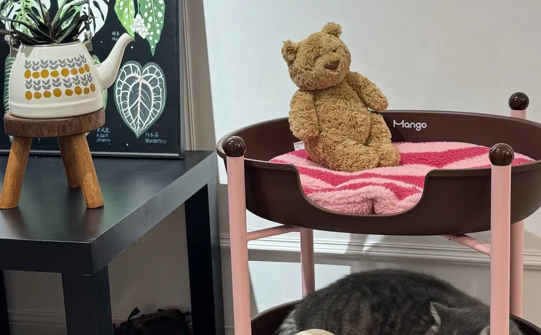 人，do you love 咪？