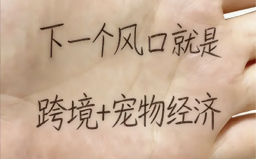 下一个风口就是宠物经济+跨境