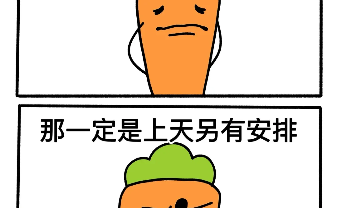 突然被这句话点醒了…