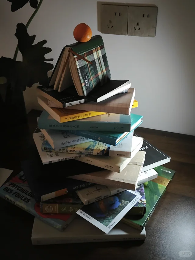 圣诞书?幸好还有书籍 想看大家的圣诞树