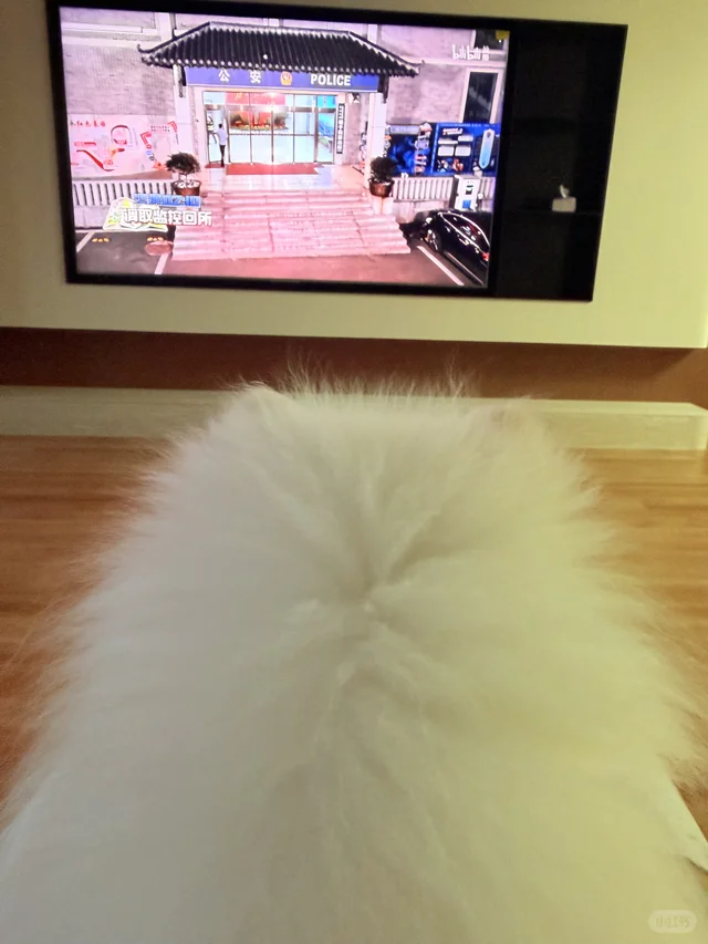 很高兴你也爱看守护解放西并且有自己的见解