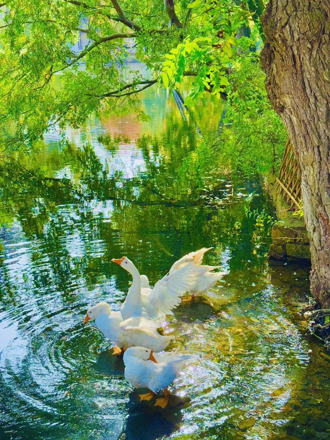 你我都一样，人生都是因为一些瞬间而发光?