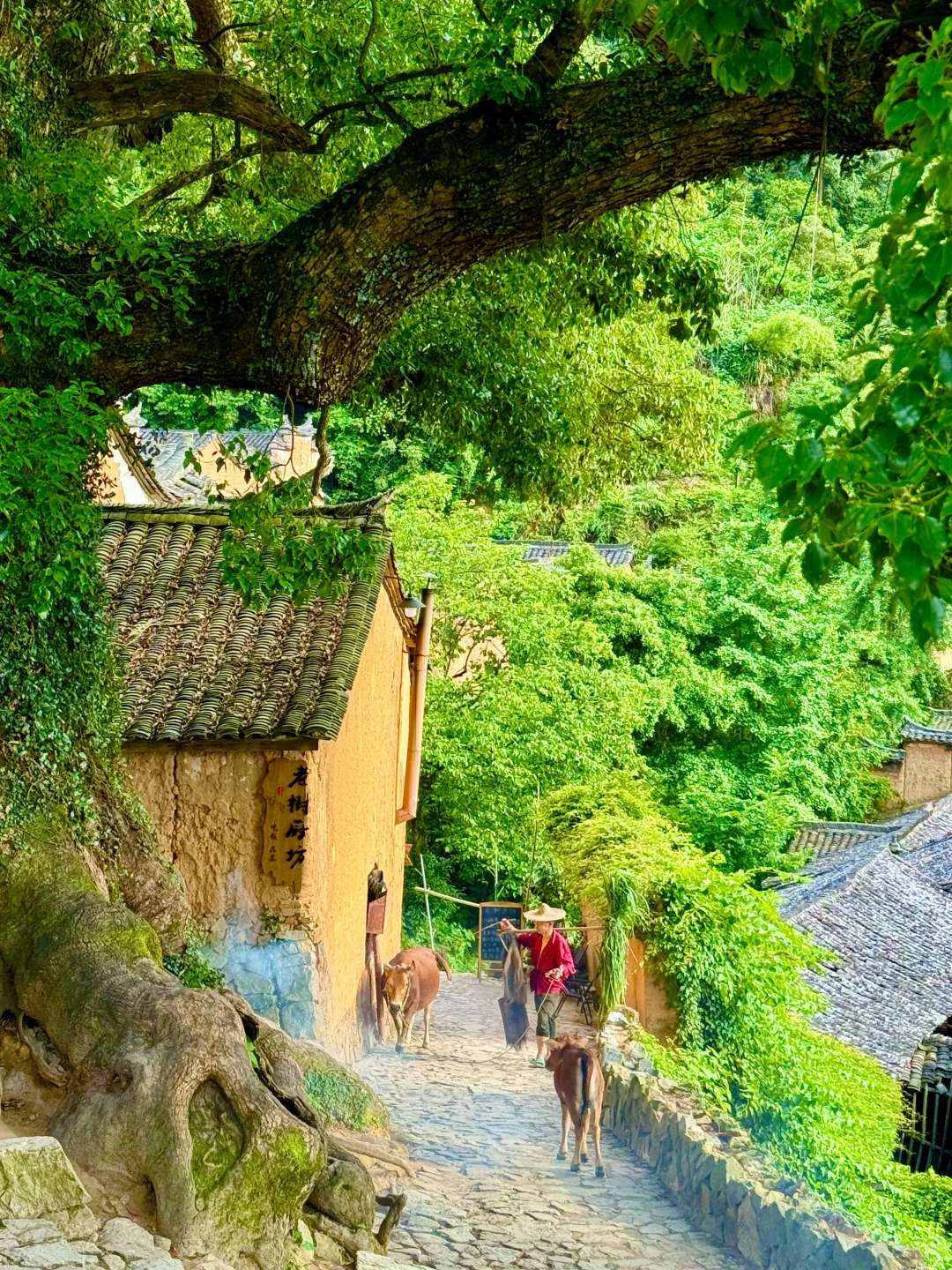 你我都一样，人生都是因为一些瞬间而发光?