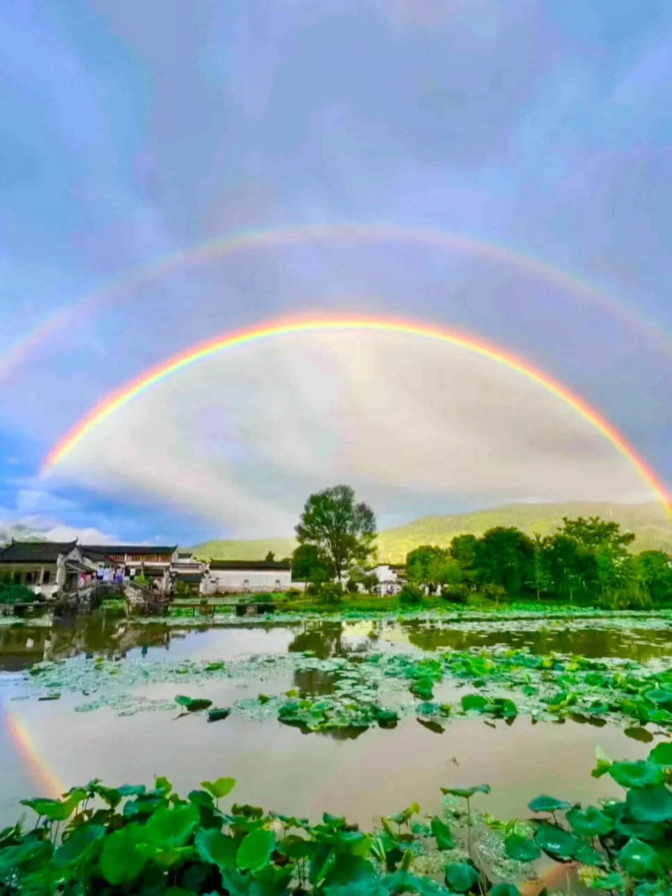 你我都一样，人生都是因为一些瞬间而发光?