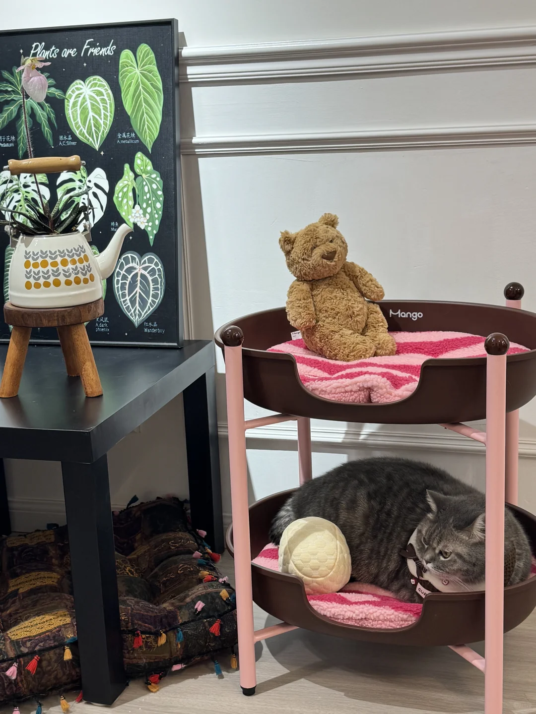 人，do you love 咪？