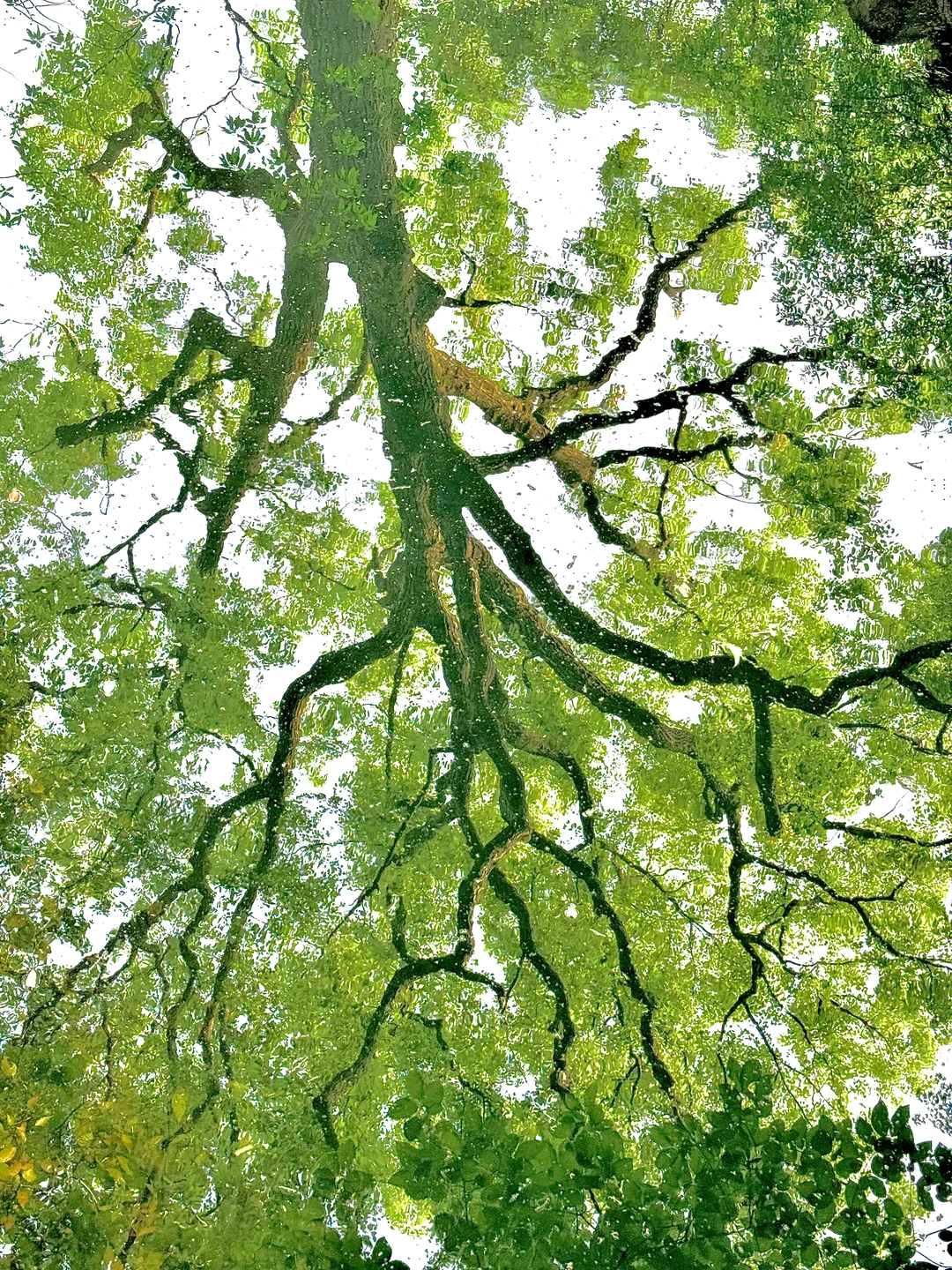 你我都一样，人生都是因为一些瞬间而发光?