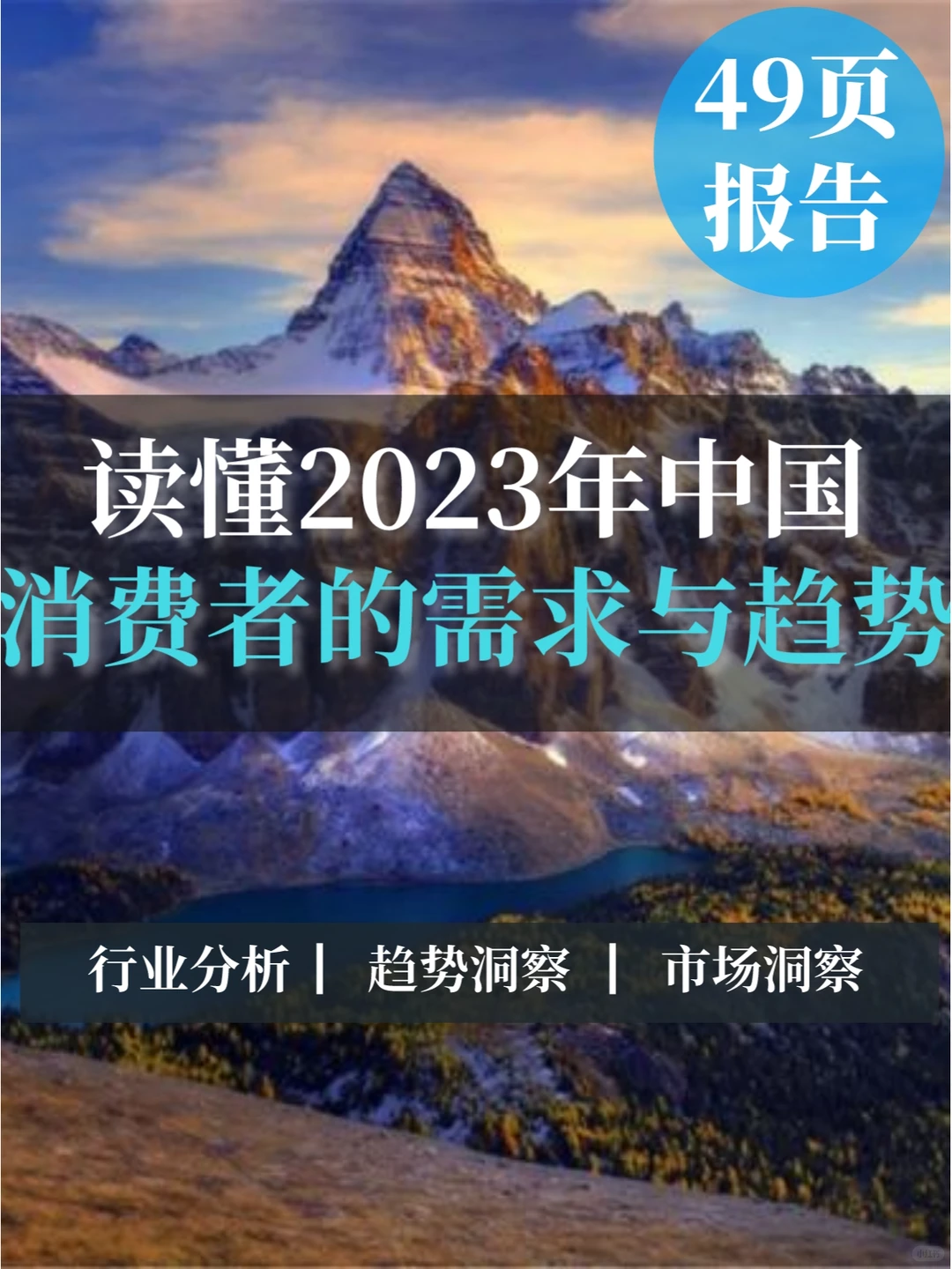 49页报告▏读懂2023中国消费者的需求与趋势