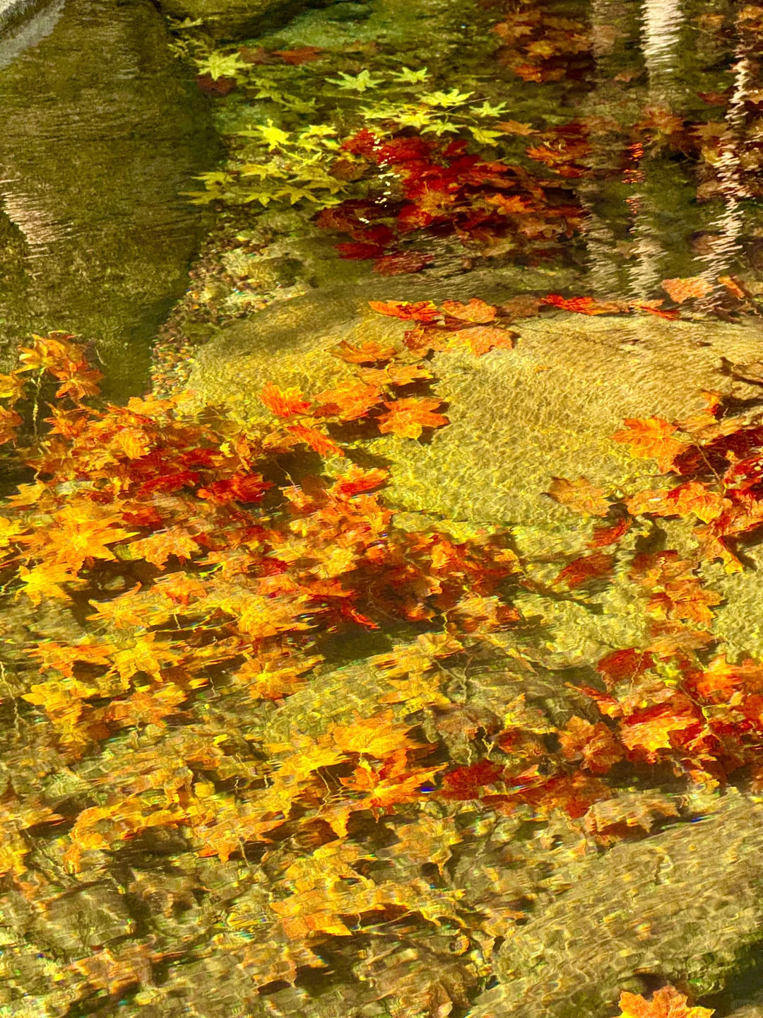 你我都一样，人生都是因为一些瞬间而发光?